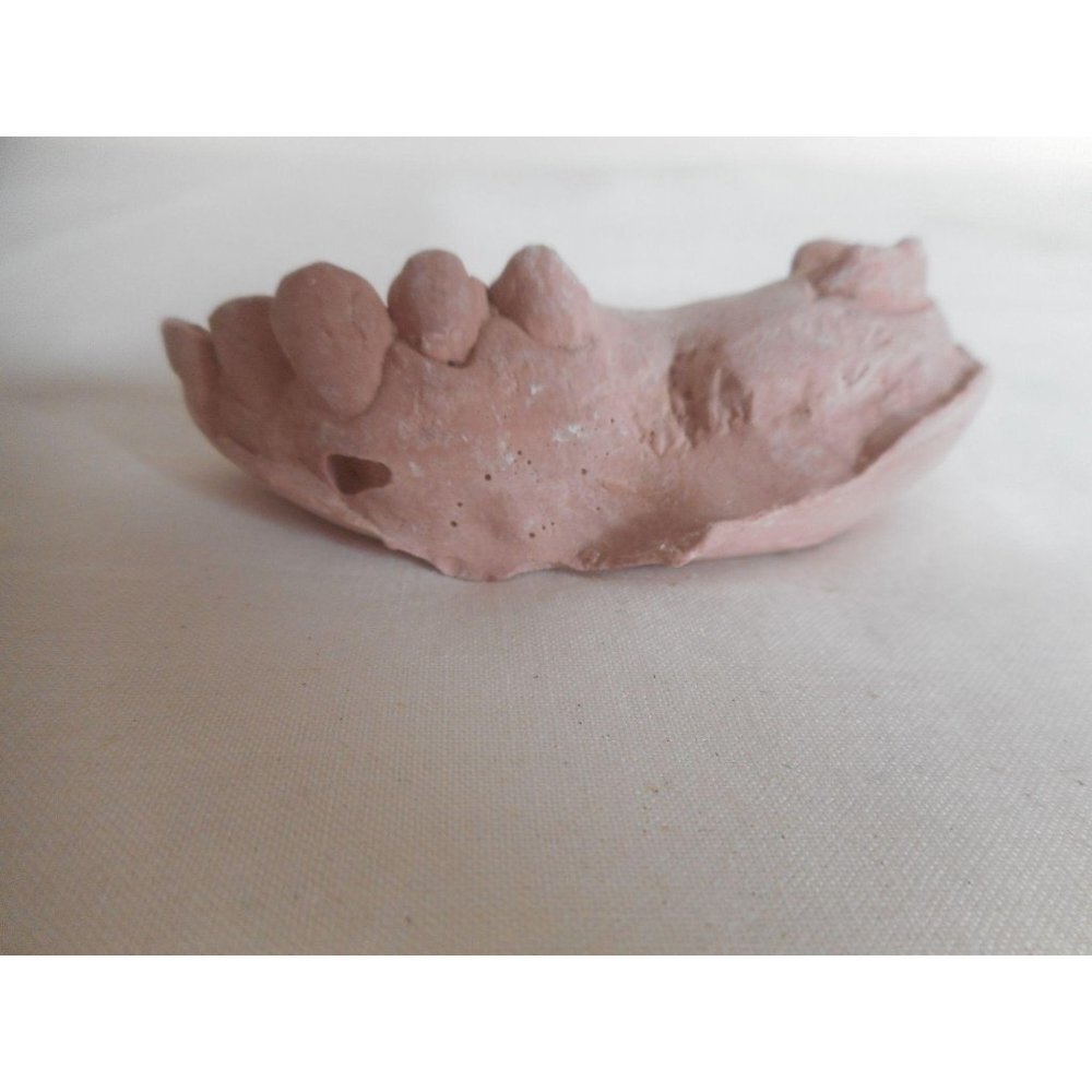 Vintage Cast Dental Teeth Mold  Tooth Castings Med - Picture 3 of 5